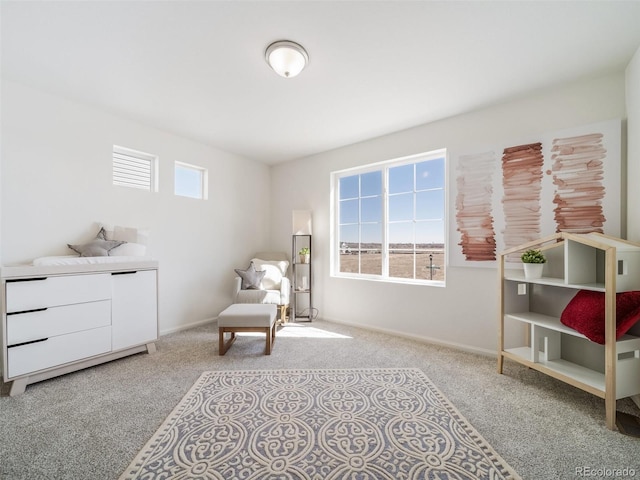 22182 E 38th Pl, Aurora, CO 80019 - photo 27