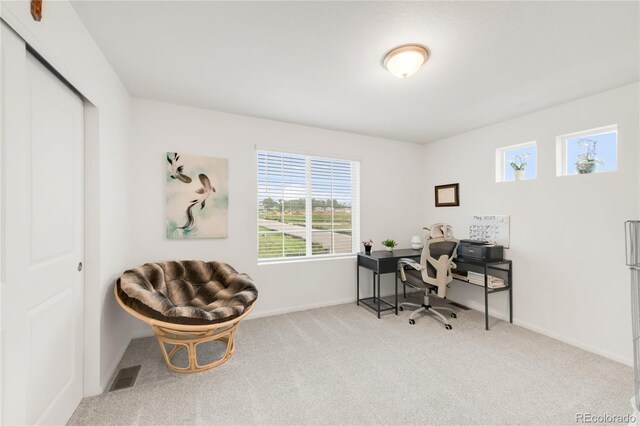 4093 Zebrawood Ln, Johnstown, CO 80534 - photo 13