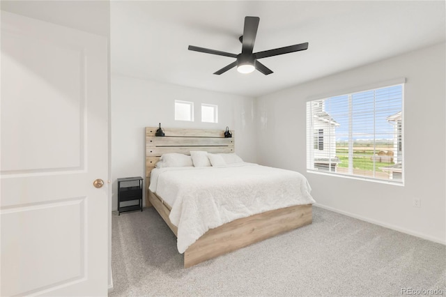 4093 Zebrawood Ln, Johnstown, CO 80534 - photo 19