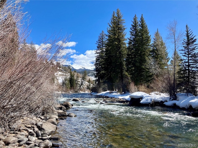 property view of water with a forest view