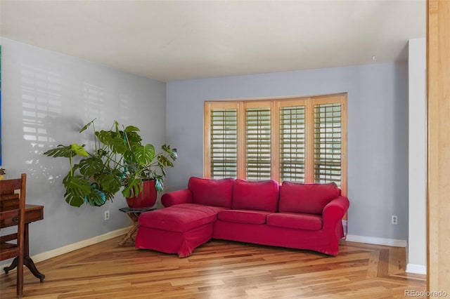 10200 Julian St, Westminster, CO 80031 - living room featuring baseboards and wood finished floors
