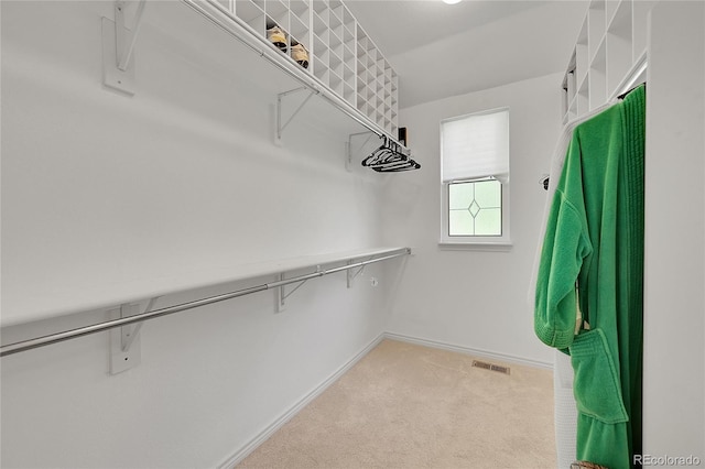 6696 S Quail Ct, Littleton, CO 80127 - walk in closet featuring carpet and attic access
