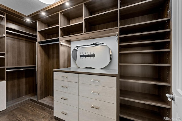 spacious closet featuring dark hardwood / wood-style floors