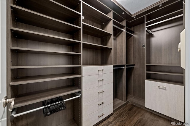 walk in closet with dark hardwood / wood-style flooring