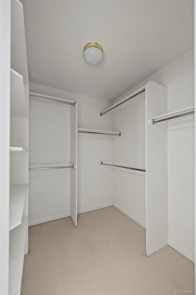 spacious closet with light carpet