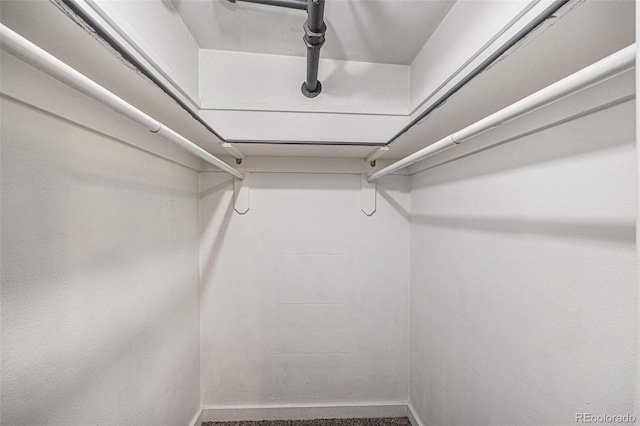 500 E 11th Ave Unit 102, Denver, CO 80203 - view of spacious closet
