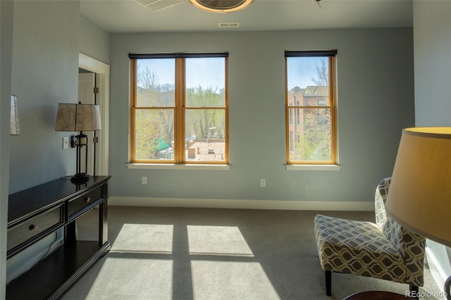 living area featuring a healthy amount of sunlight and carpet