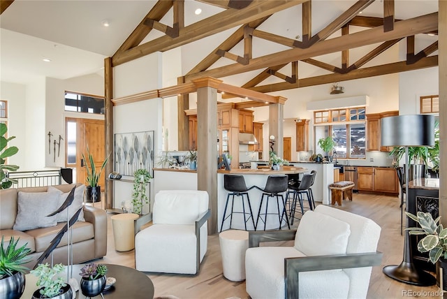 living area featuring light wood finished floors and high vaulted ceiling