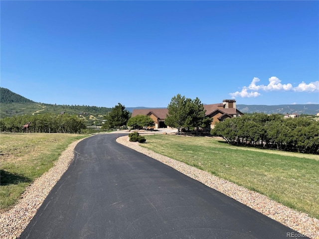 view of road featuring driveway and a mountain view