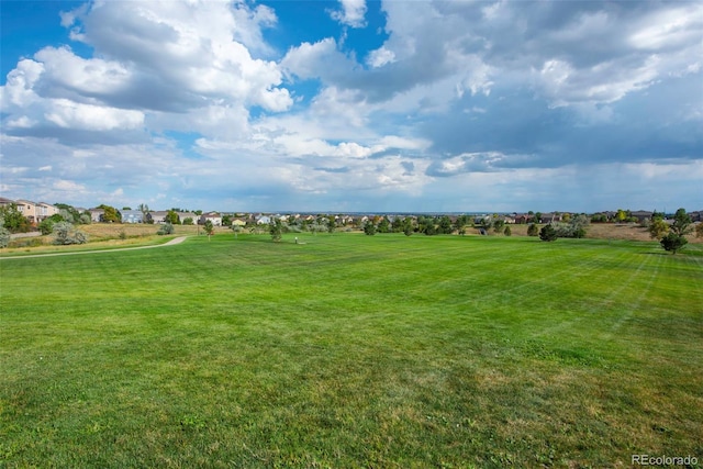 12664 Ulster St, Thornton, CO 80602 - view of green lawn