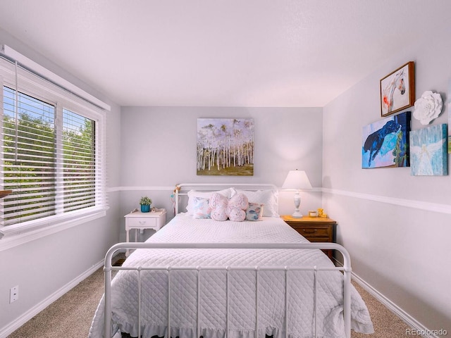 4841 S Yukon St, Denver, CO 80123 - photo 29