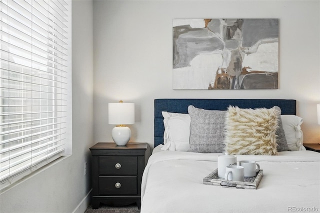 bedroom with baseboards and multiple windows