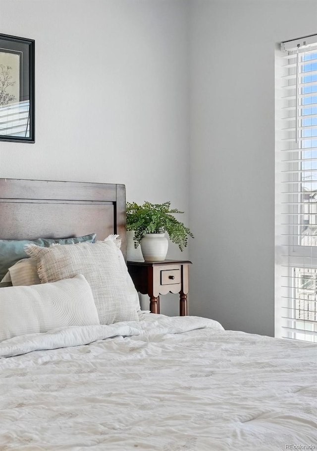 bedroom with multiple windows