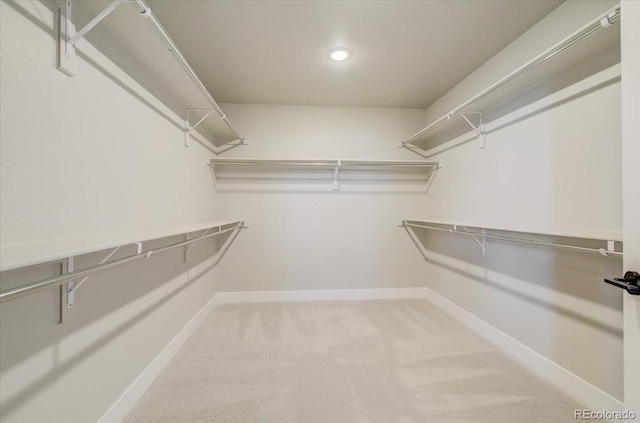 walk in closet featuring carpet floors