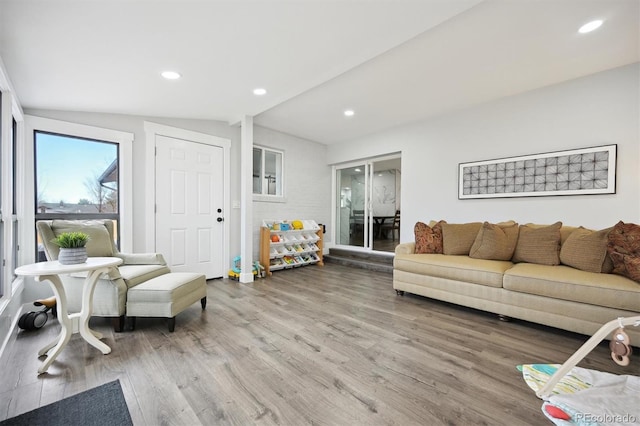 living room featuring lofted ceiling and wood-type flooring