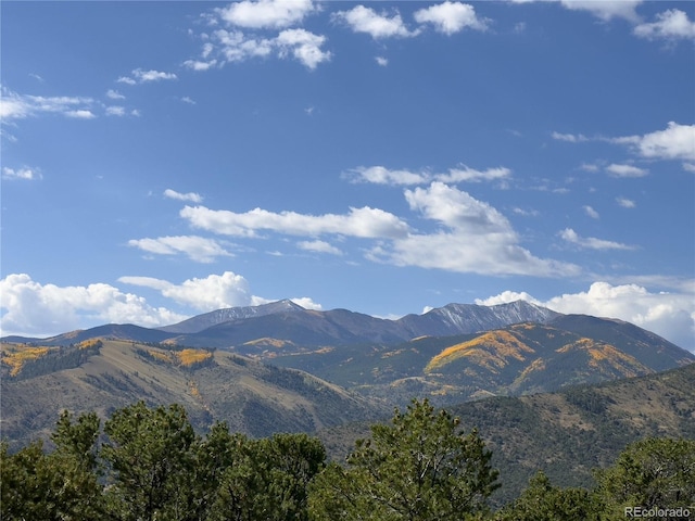 14460 Granite Pkwy, Salida, CO 81201 - photo 49