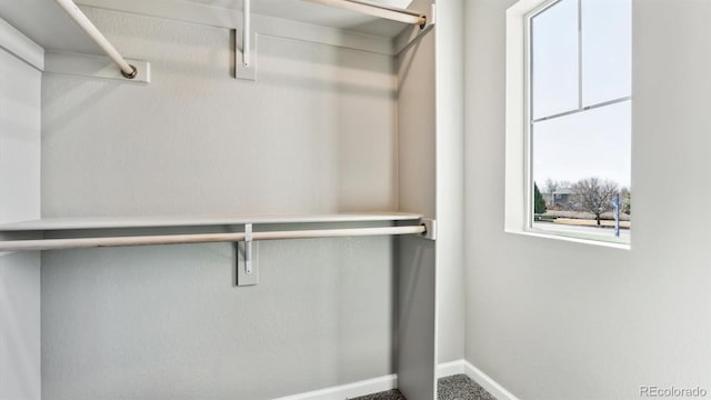 284 Scaup Ln, Johnstown, CO 80534 - photo 13