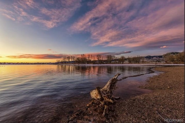 7636 S Allison Ct, Littleton, CO 80128 - water view