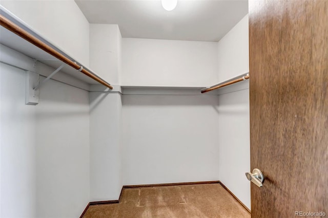 spacious closet featuring light colored carpet