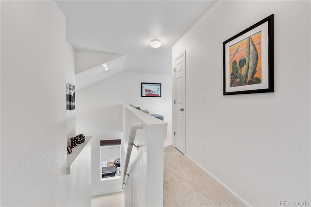 5536 Kirk St, Denver, CO 80249 - corridor with an upstairs landing, carpet flooring, and baseboards