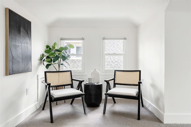 623 S Logan St, Denver, CO 80209 - living area with carpet and baseboards