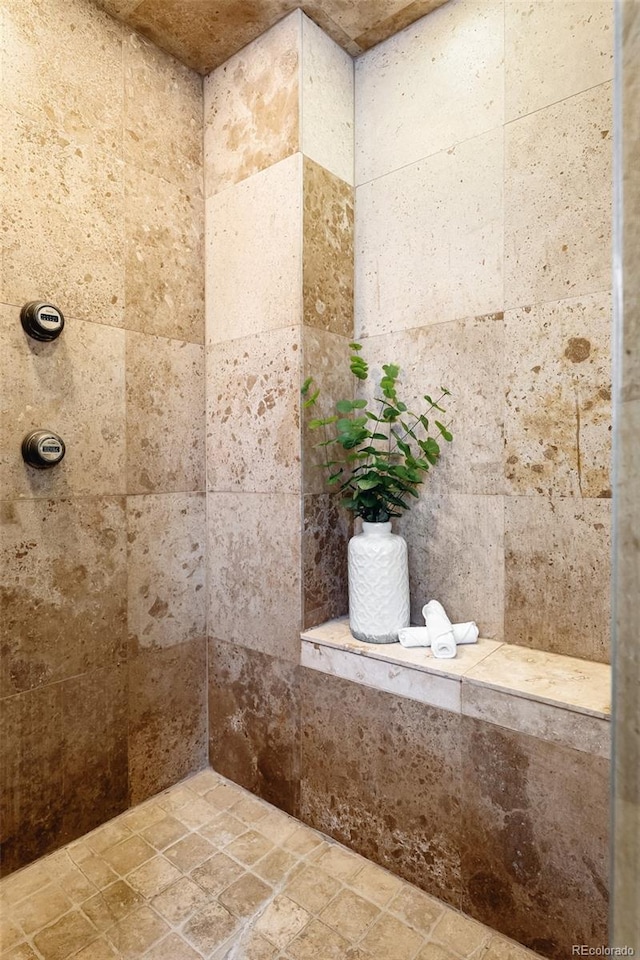 623 S Logan St, Denver, CO 80209 - full bath featuring a tile shower and stone finish floors