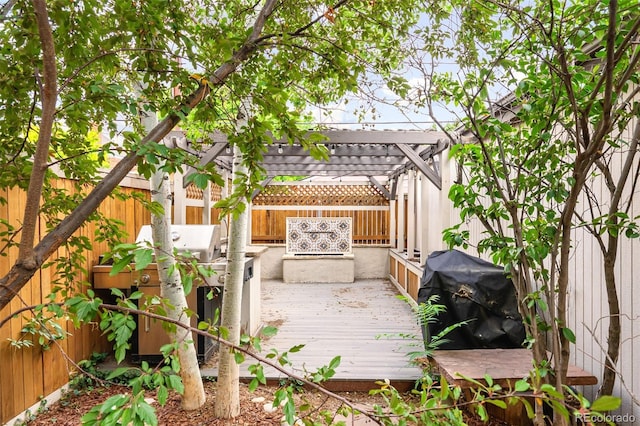 623 S Logan St, Denver, CO 80209 - wooden deck with a fenced backyard and area for grilling