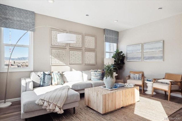living room featuring wood finished floors, baseboards, and recessed lighting