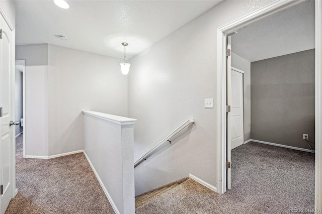 stairway featuring carpet flooring