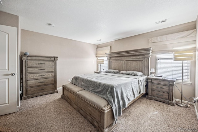 bedroom featuring carpet flooring, a textured ceiling, and multiple windows