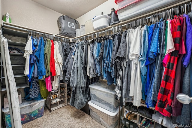 walk in closet with carpet floors