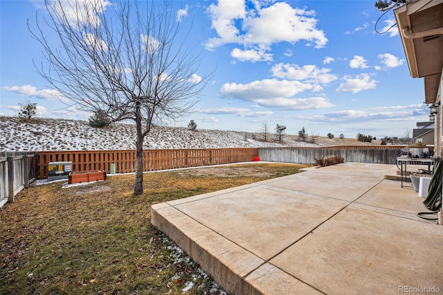 view of yard featuring a patio