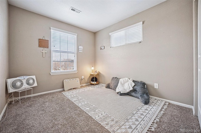 bedroom with carpet floors