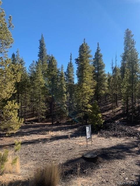 180 Peak View Dr, Leadville, CO 81251