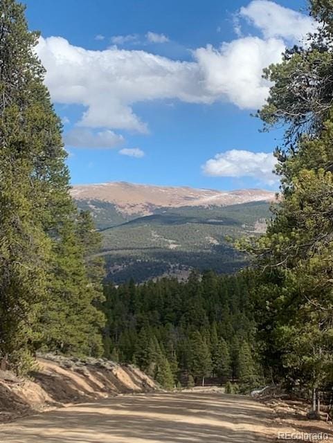 180 Peak View Dr, Leadville, CO 81251