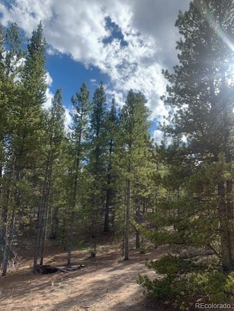 180 Peak View Dr, Leadville, CO 81251