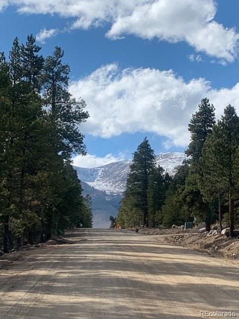 180 Peak View Dr, Leadville, CO 81251