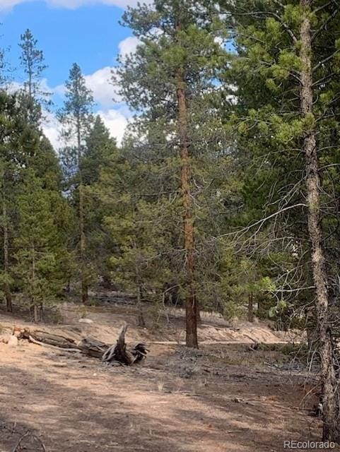 180 Peak View Dr, Leadville, CO 81251