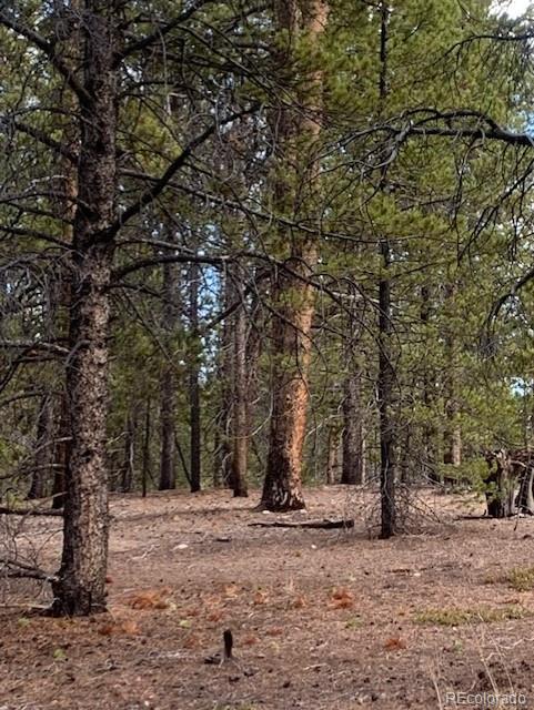 180 Peak View Dr, Leadville, CO 81251