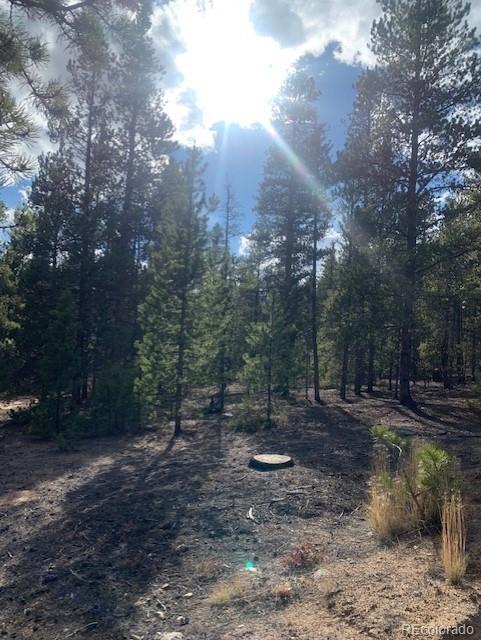 180 Peak View Dr, Leadville, CO 81251