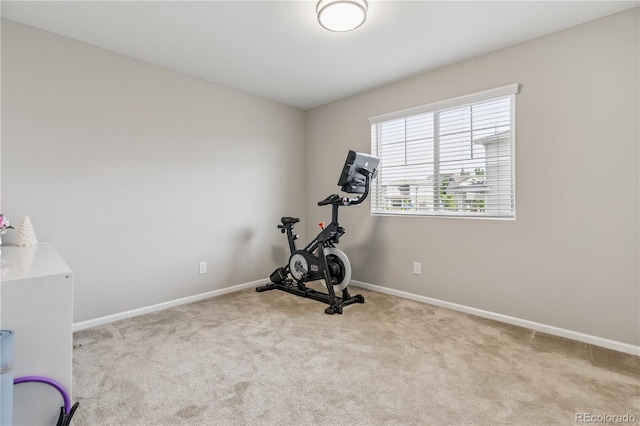2008 Makley Loop, Castle Rock, CO 80104 - photo 18