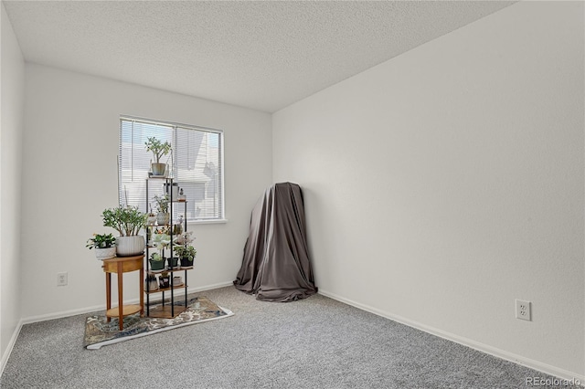 5501 Denmark Ct, Colorado Springs, CO 80918 - office with carpet flooring, a textured ceiling, and baseboards