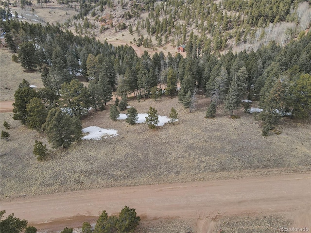375 Stratton Cir, Cripple Creek, CO 80813