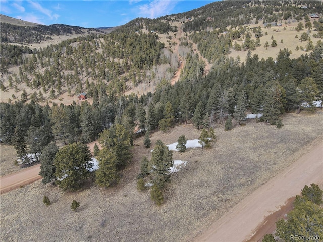 375 Stratton Cir, Cripple Creek, CO 80813
