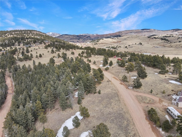 375 Stratton Cir, Cripple Creek, CO 80813