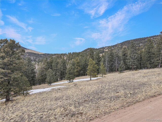 375 Stratton Cir, Cripple Creek, CO 80813