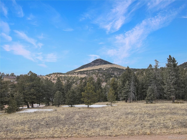 375 Stratton Cir, Cripple Creek, CO 80813