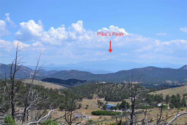 25th Trl, Cotopaxi, CO 81223