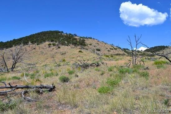 25th Trl, Cotopaxi, CO 81223