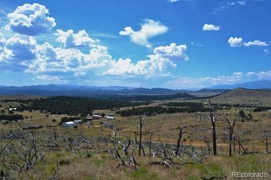 25th Trl, Cotopaxi, CO 81223